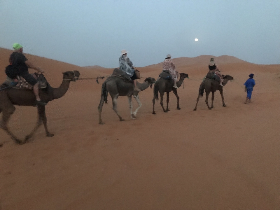 People riding camels across desert dunes at dusk.