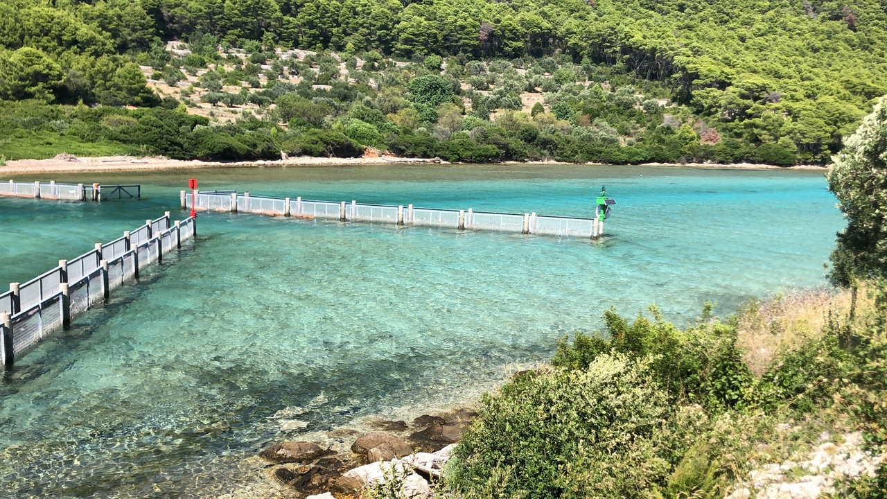 Eau claire avec clôture aquatique visible et arrière-plan verdoyant luxuriant.