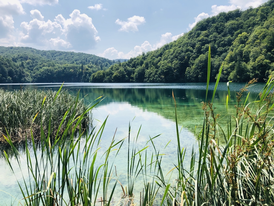 Crystal clear lake surrounded by lush forests.