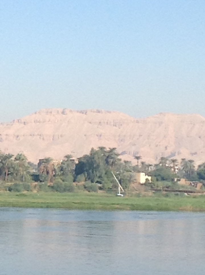 Blurry view of mountains and vegetation