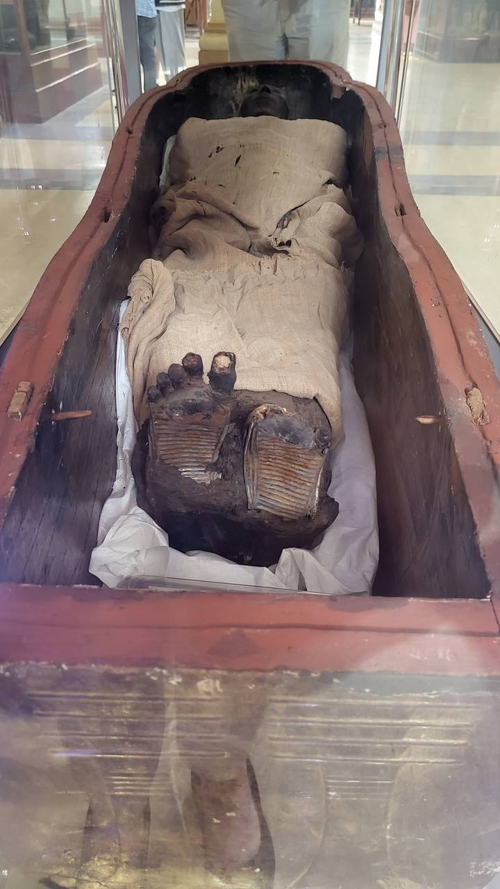 Mummy in a sarcophagus displayed in a museum.