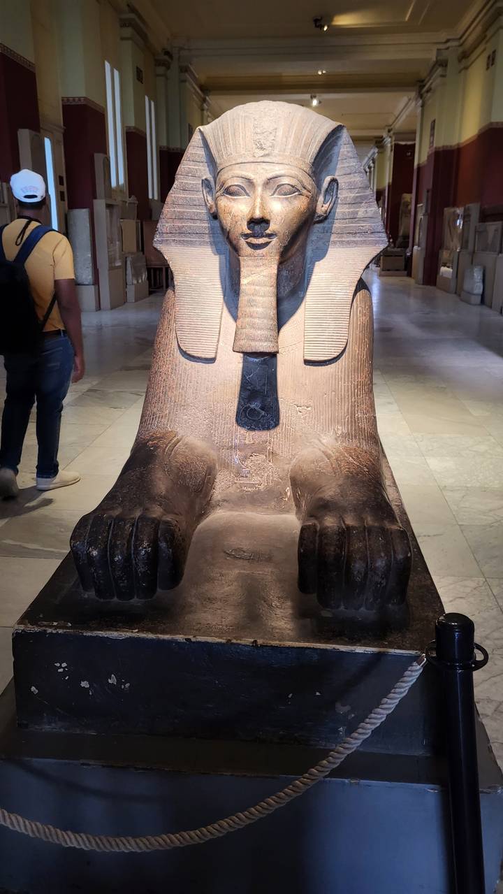 Statue of a sphinx displayed in a museum.