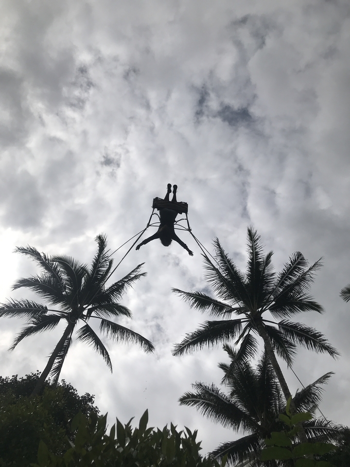 Person swinging between palm trees with a cloudy sky.
