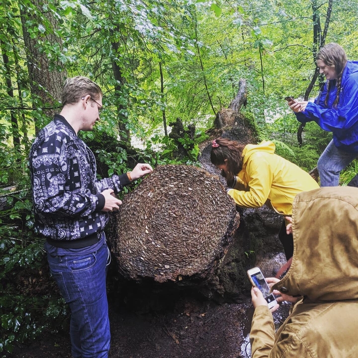 Travelers examining a mysterious ancient carving.