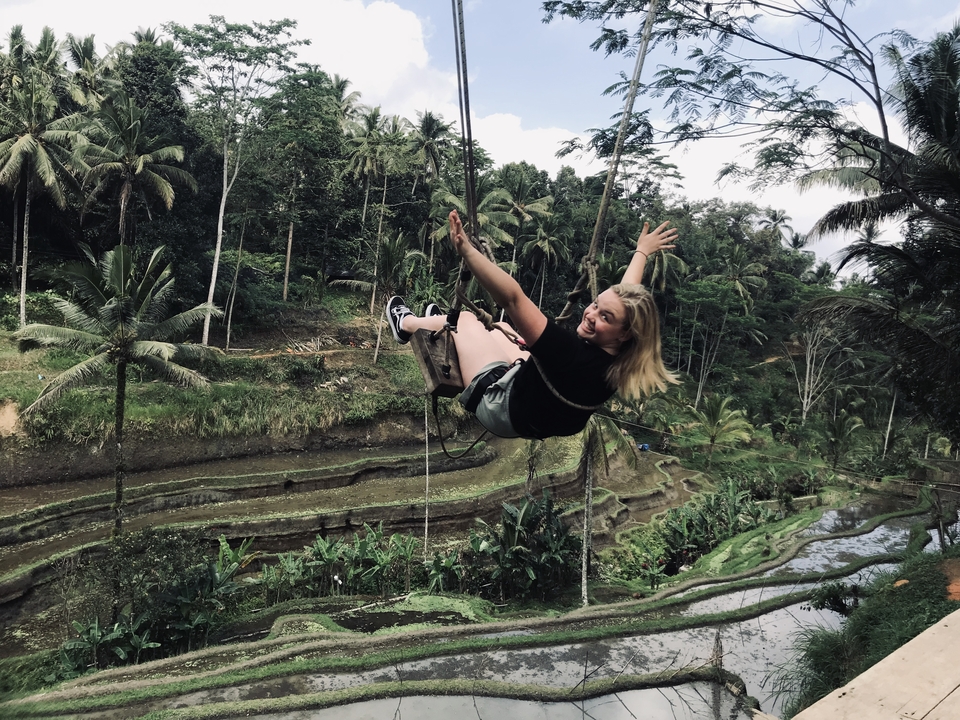 Woman swinging over terraced rice fields.