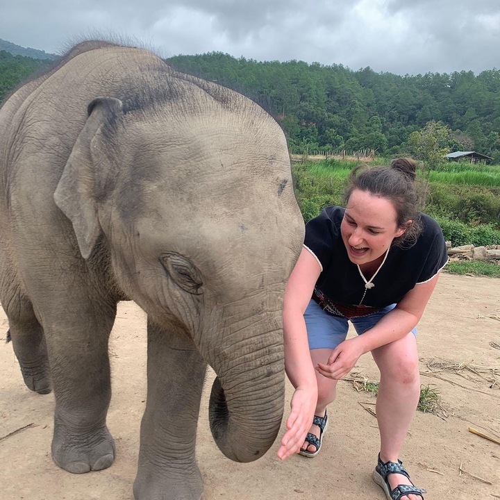 Person interacting with a baby elephant.