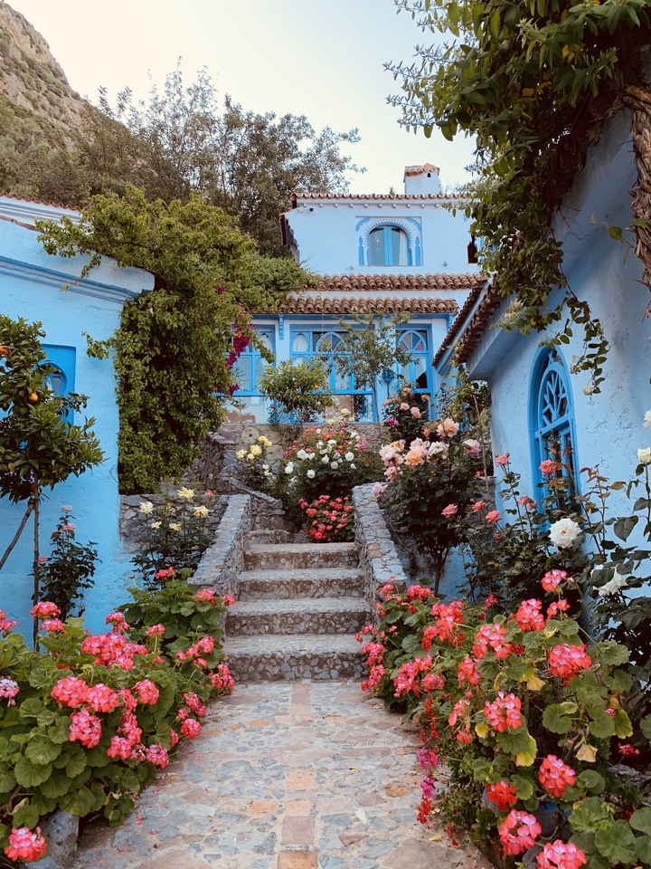 Une belle rue étroite à Chefchaouen, au Maroc, avec des bâtiments peints en bleu et des fleurs colorées.