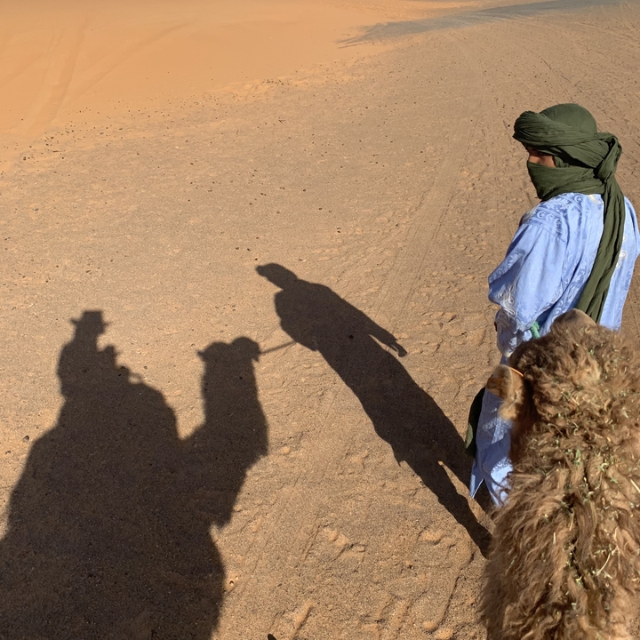 Ombres de personnes et de chameaux sur un sentier sablonneux.