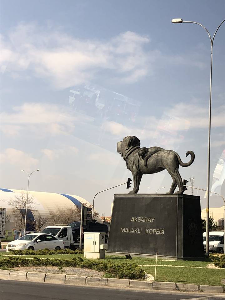 Une statue d'un chien avec des bâtiments et le ciel en arrière-plan.