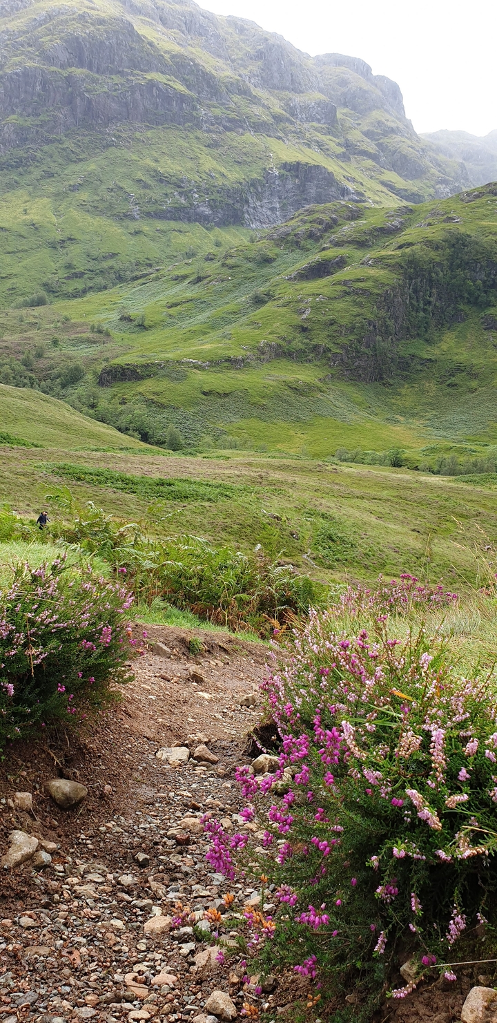 A person walking through a green landscape.