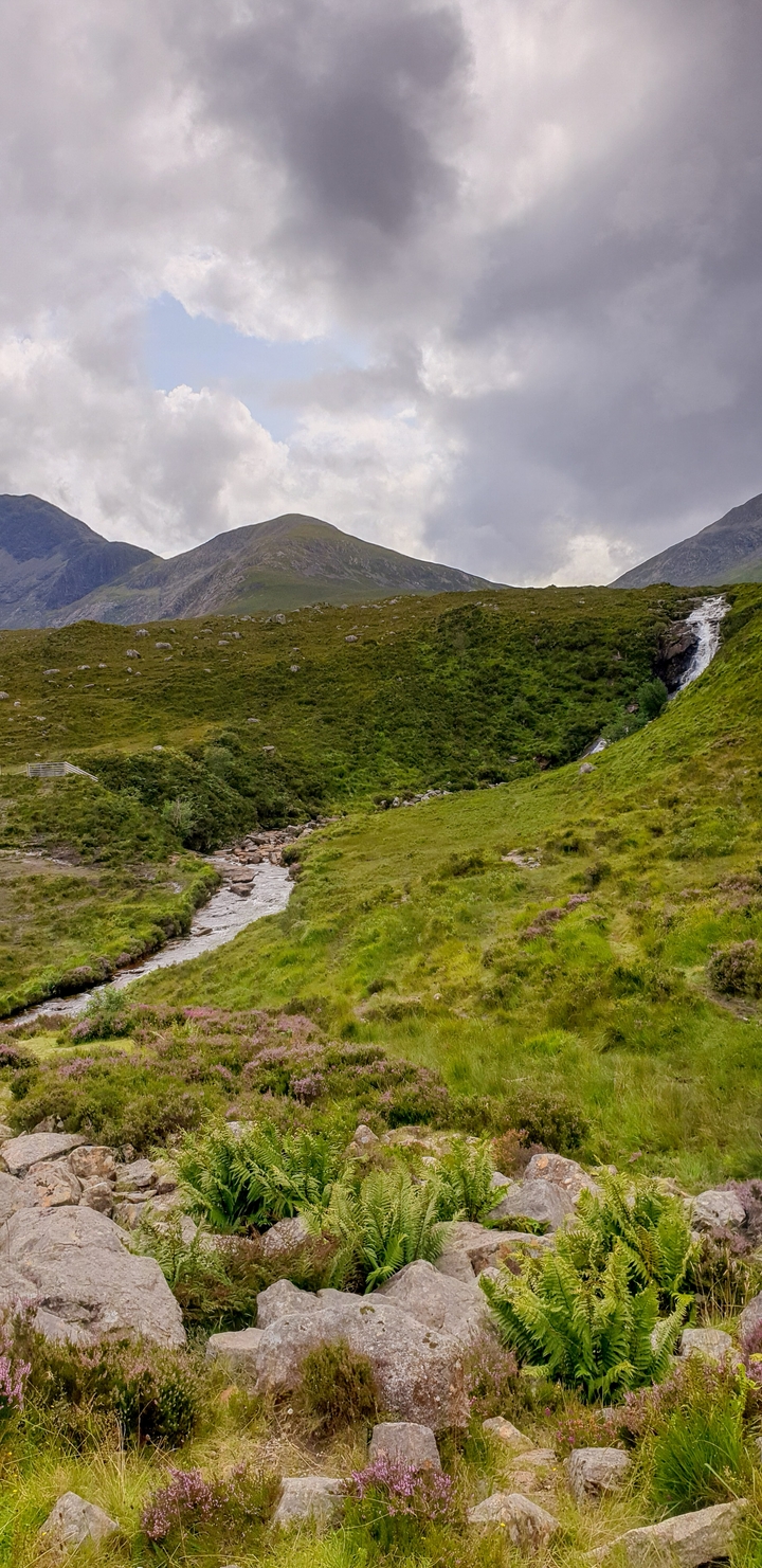 A small stream in a lush green landscape.