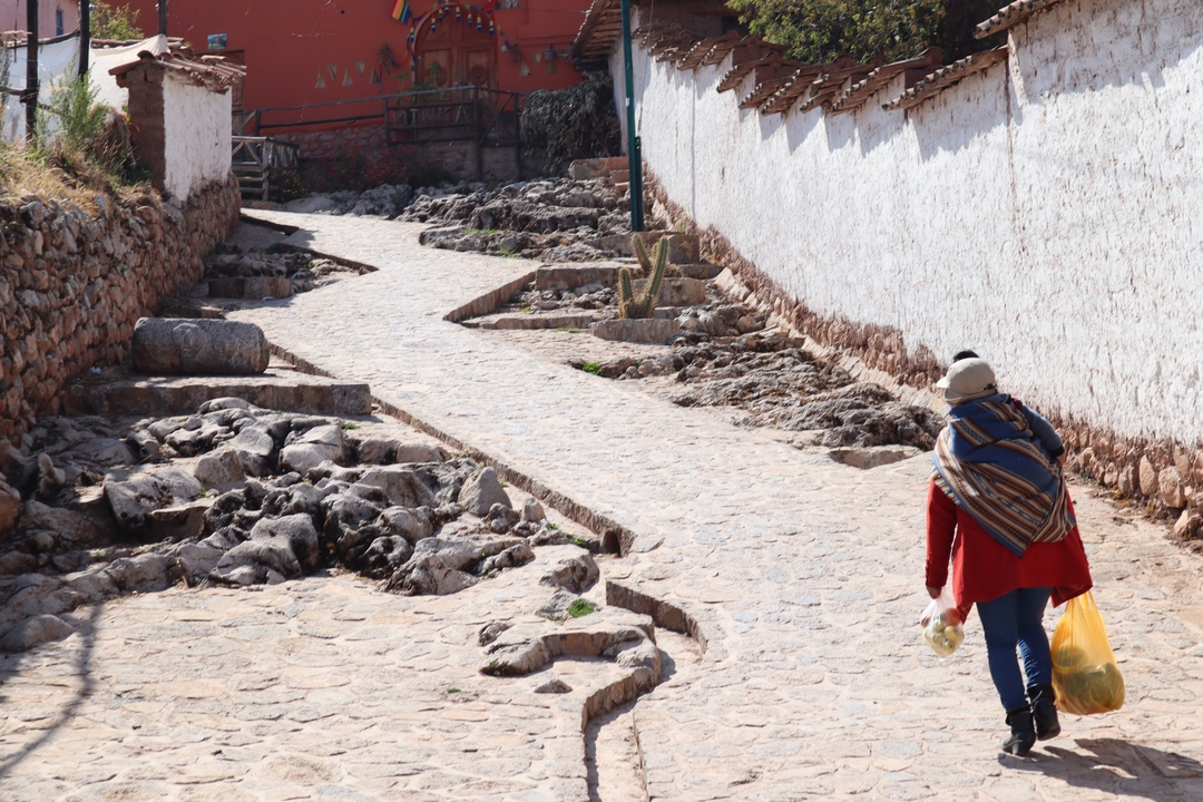 Personne marchant sur un chemin pavé avec des paniers.