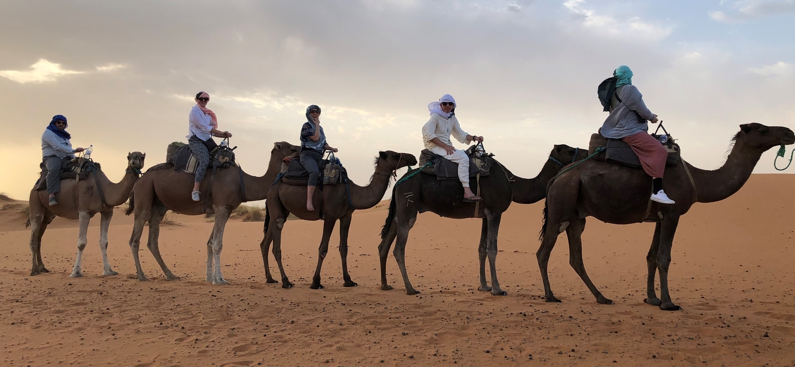 Line of people riding camels in a desert landscape.