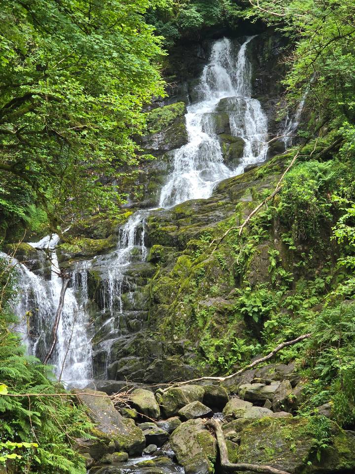 Waterfall scene surrounded by green moss and rocks.