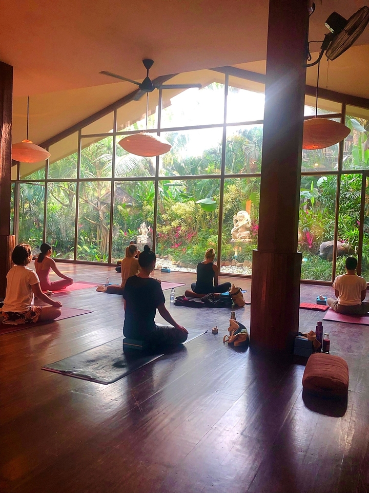 Personnes faisant du yoga dans un cadre de jardin serein