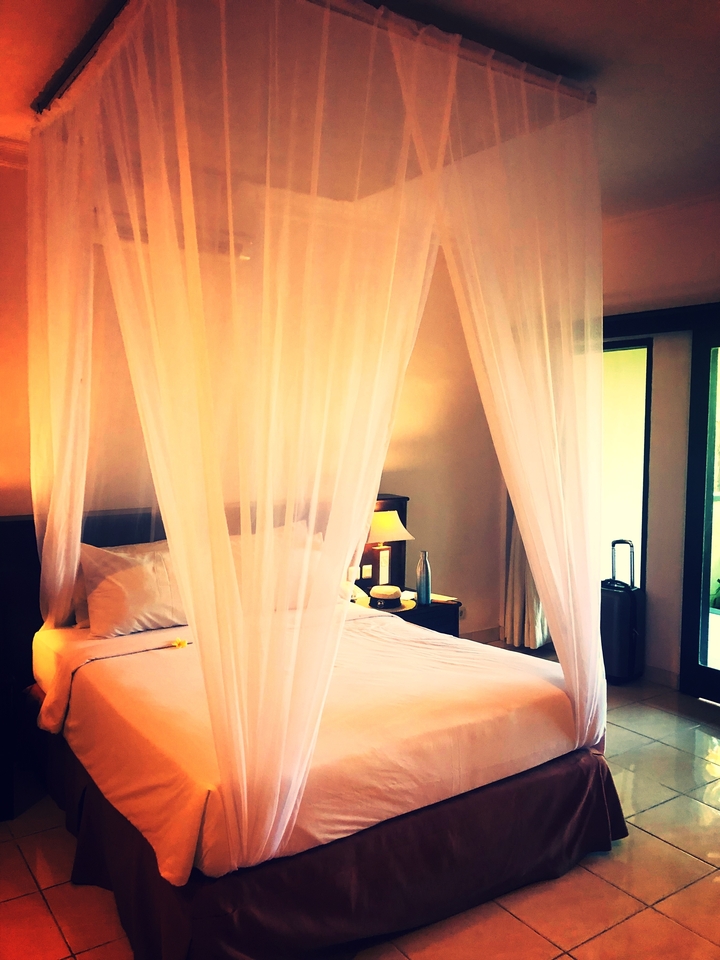 Intérieur d'hébergement douillet avec un lit à baldaquin