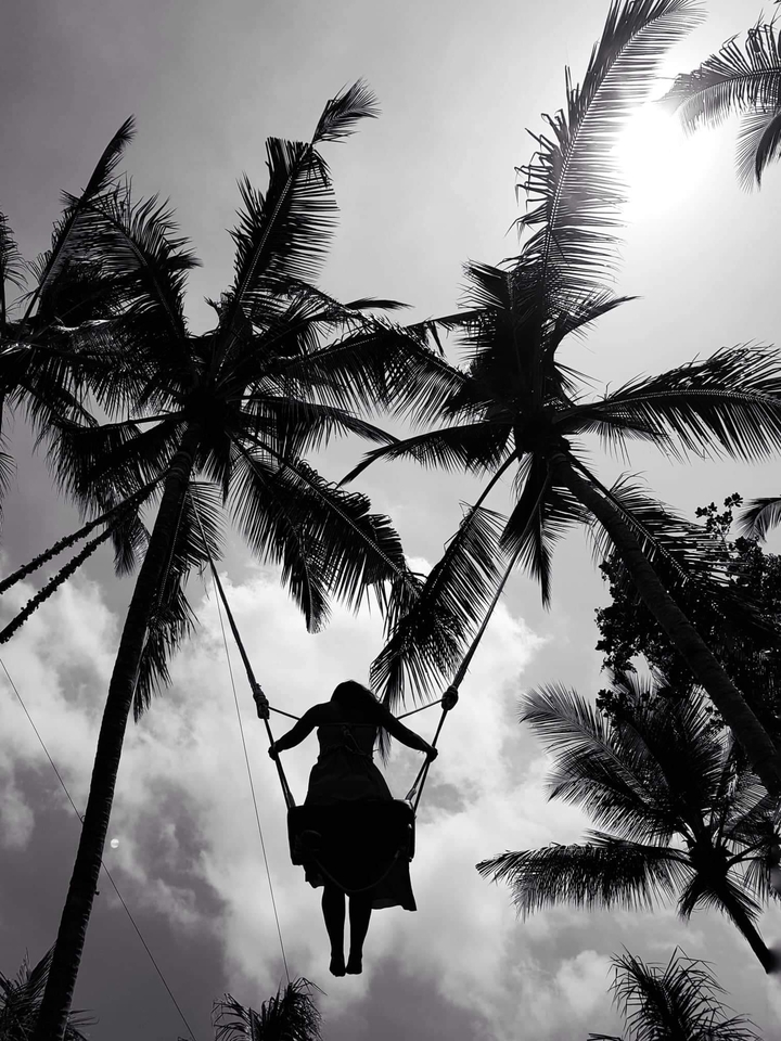 Personne sur une balançoire sous des palmiers en noir et blanc