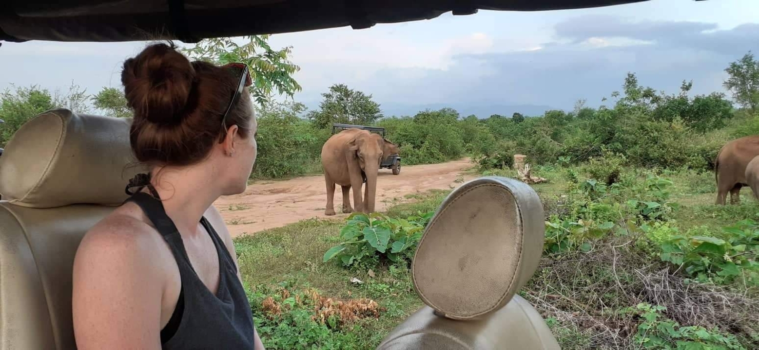 Person on safari observing an elephant.