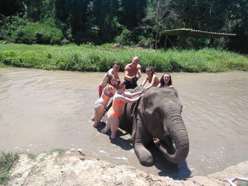 A group of people bathing an elephant in a muddy waterbody.