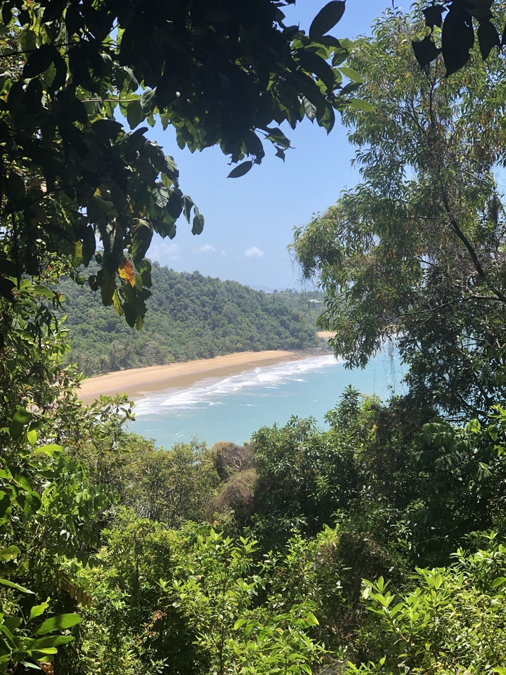 View of a secluded beach with lush greenery.