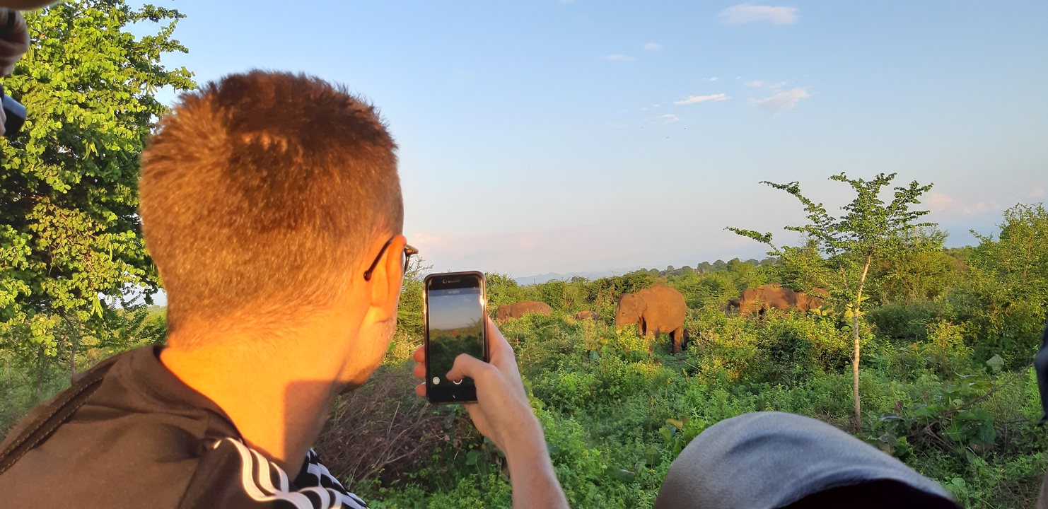 Person taking a photo of elephants during a safari.