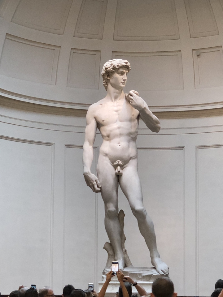 Statue of David in a museum setting.