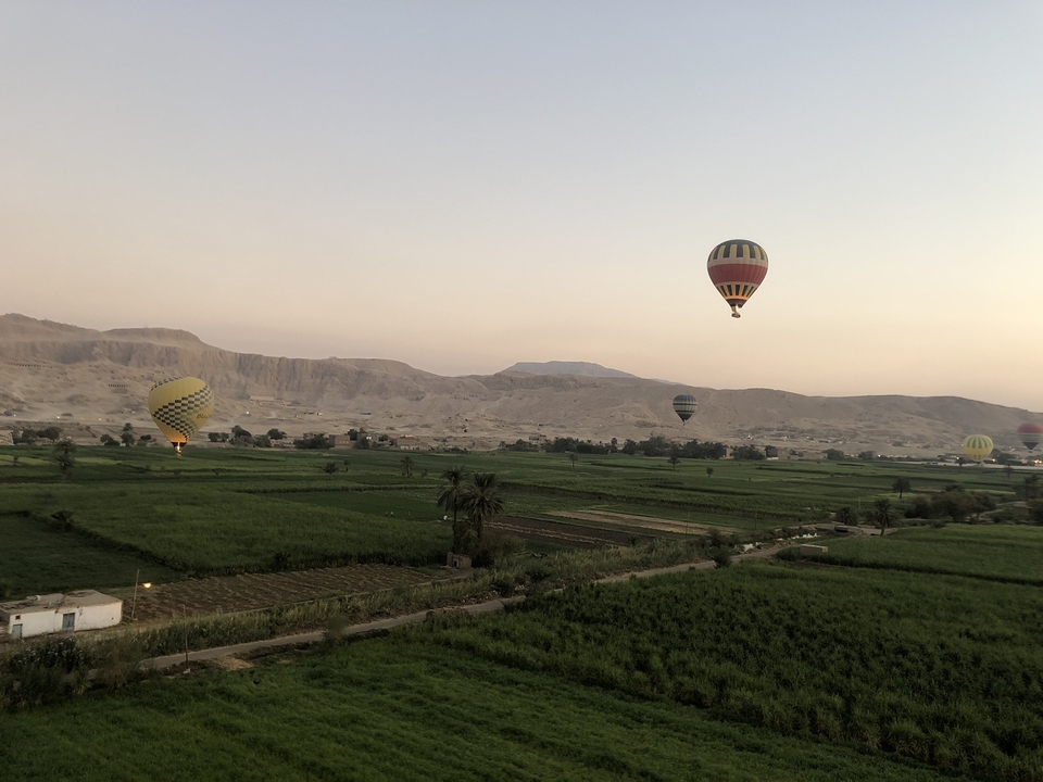 Hot air balloons over fields in the early morning.
