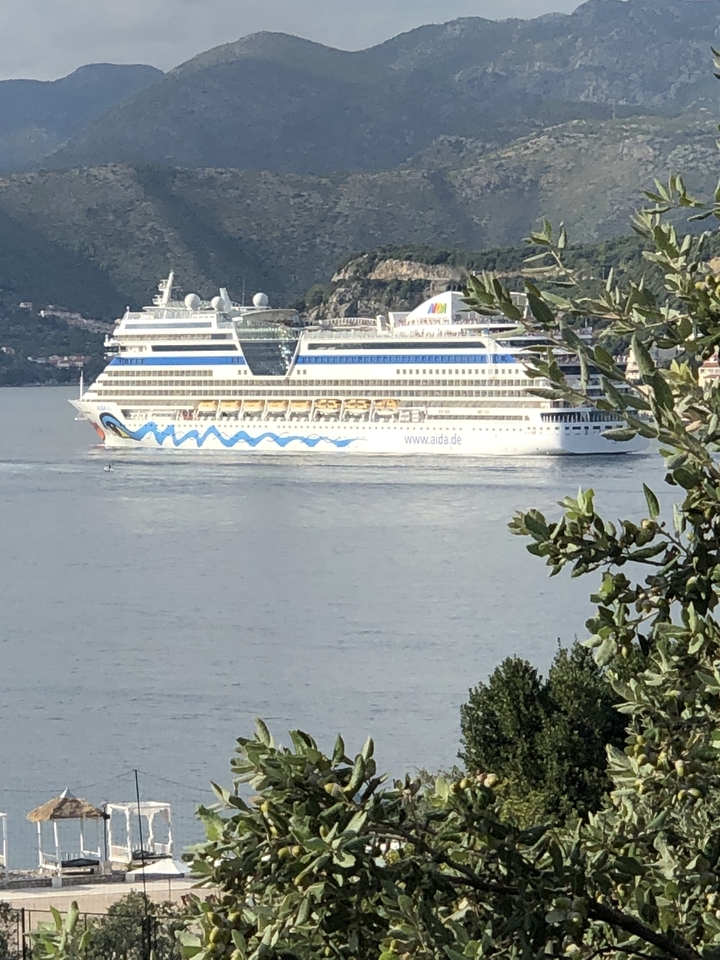 Navire de croisière dans une étendue d'eau avec des collines au loin.