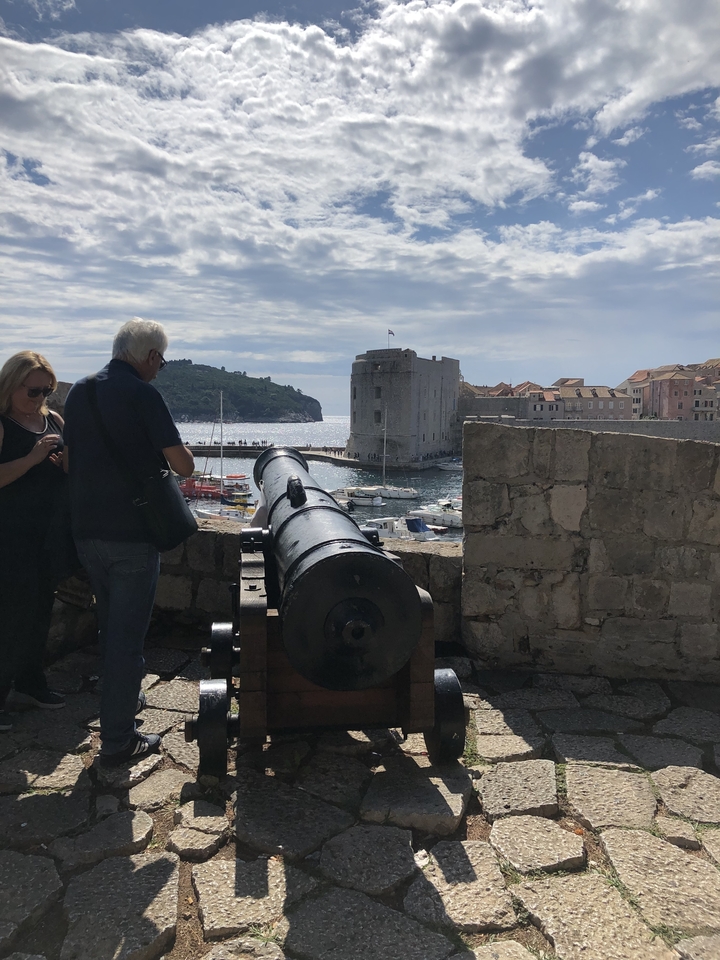 Canon surplombant une forteresse côtière et une ville.
