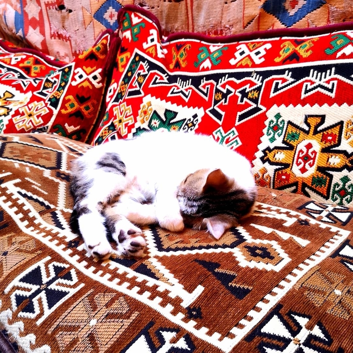 A cat sleeping on colorful traditional textiles.