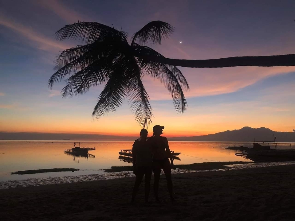 Silhouette of two people under a palm tree against a sunset backdrop.
