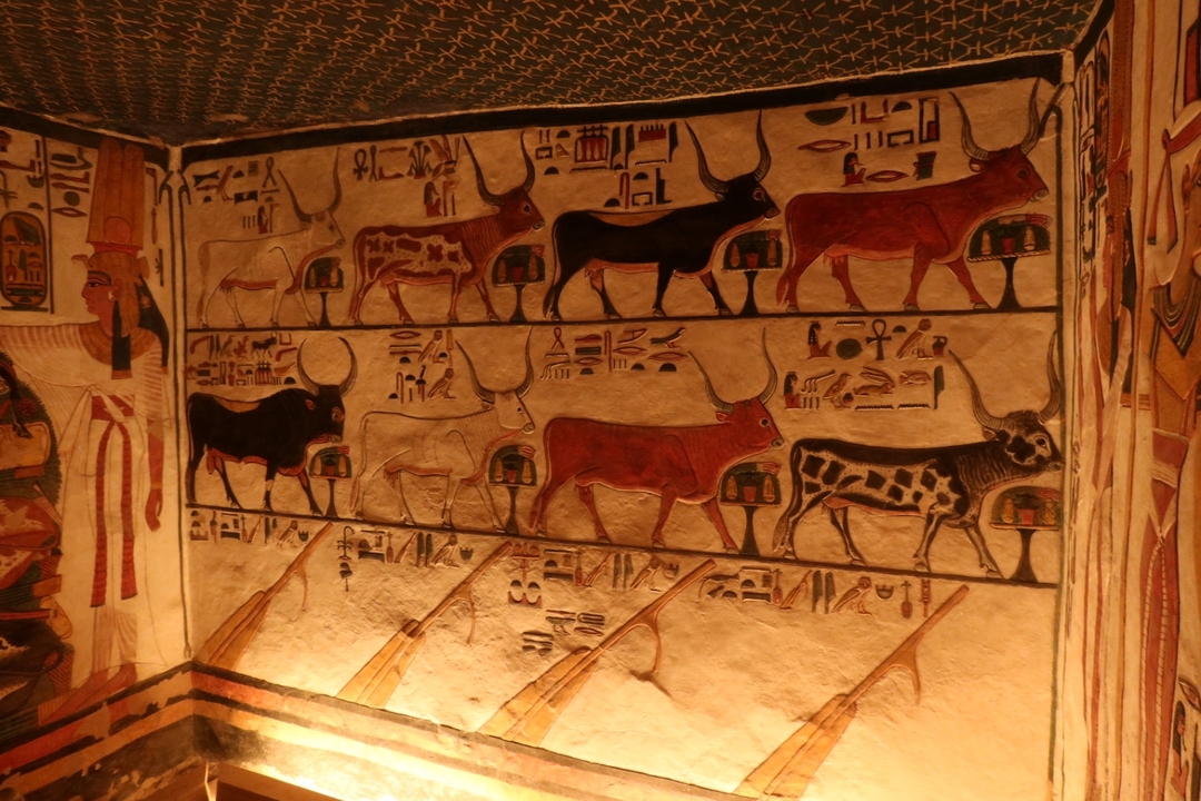 Art mural de l'Égypte antique avec des représentations de bétail et des hiéroglyphes.