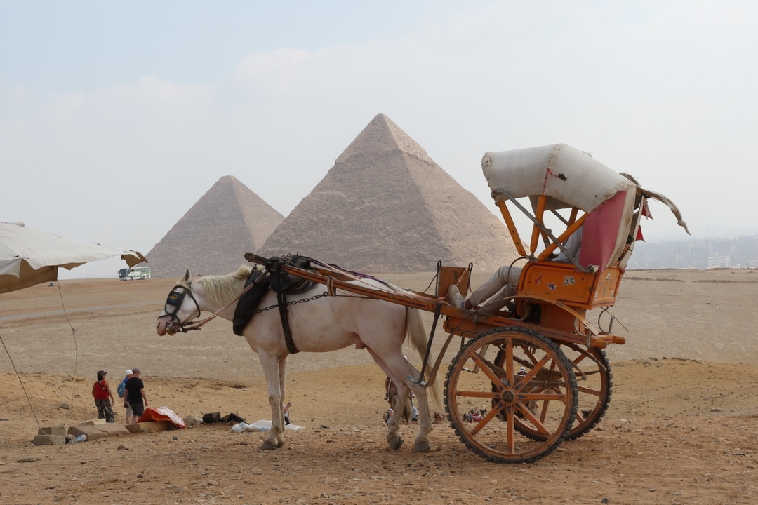 Pyramides de Gizeh avec une calèche au premier plan.