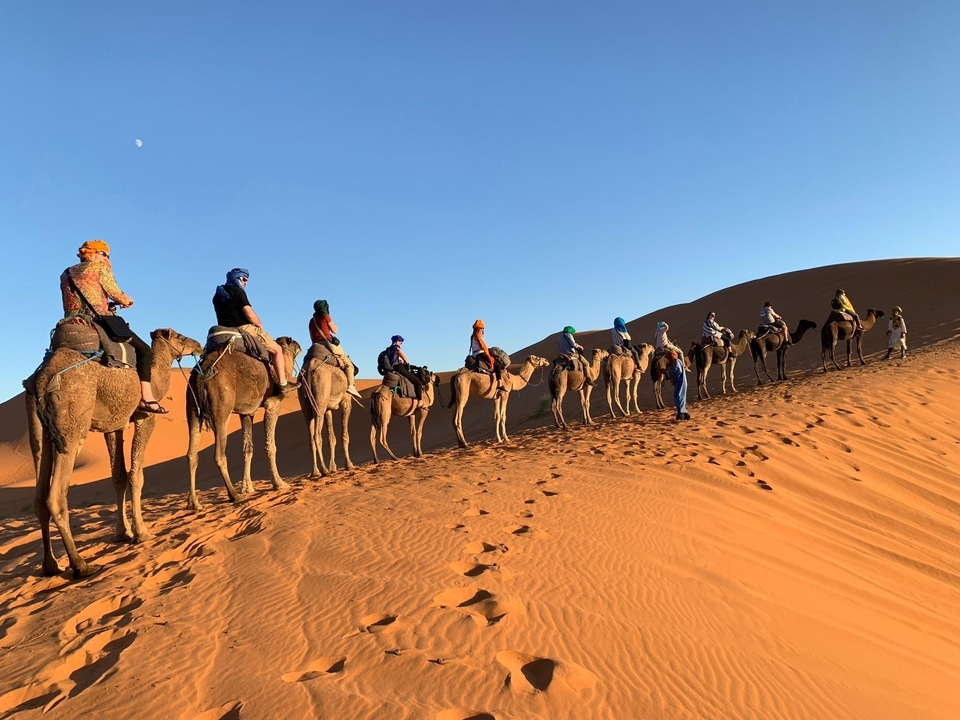 Camel caravan crossing sand dunes at sunset.