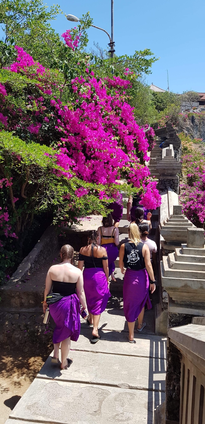Group walking down floral street with pink flowers.
