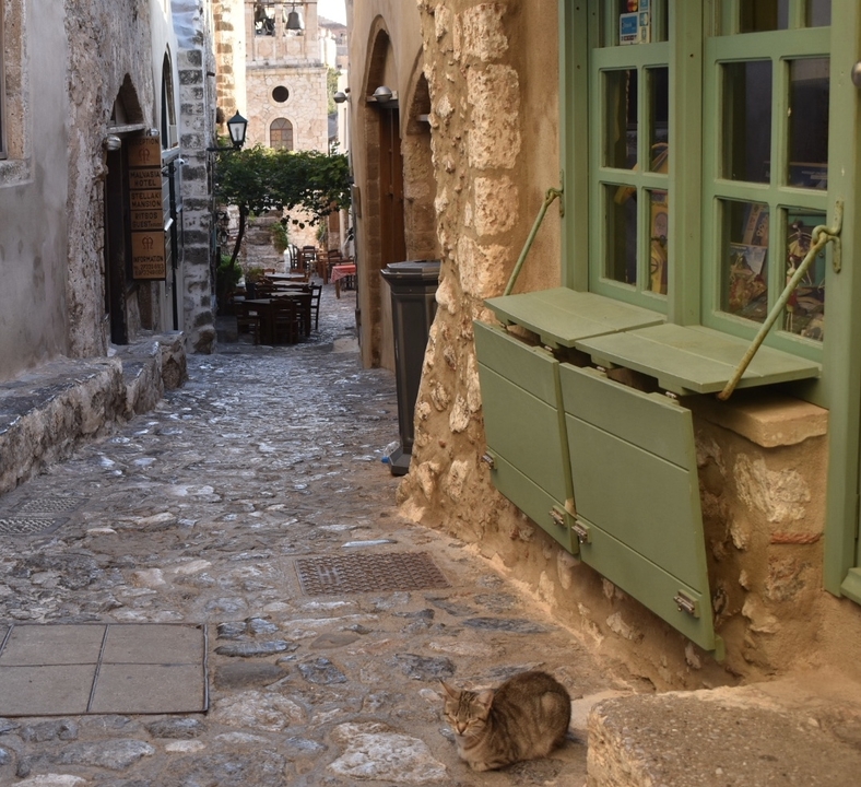 A narrow cobblestone street with green window shutters and seating area