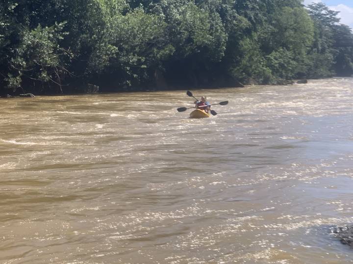 A person kayaking in a brown river surrounded by forest.