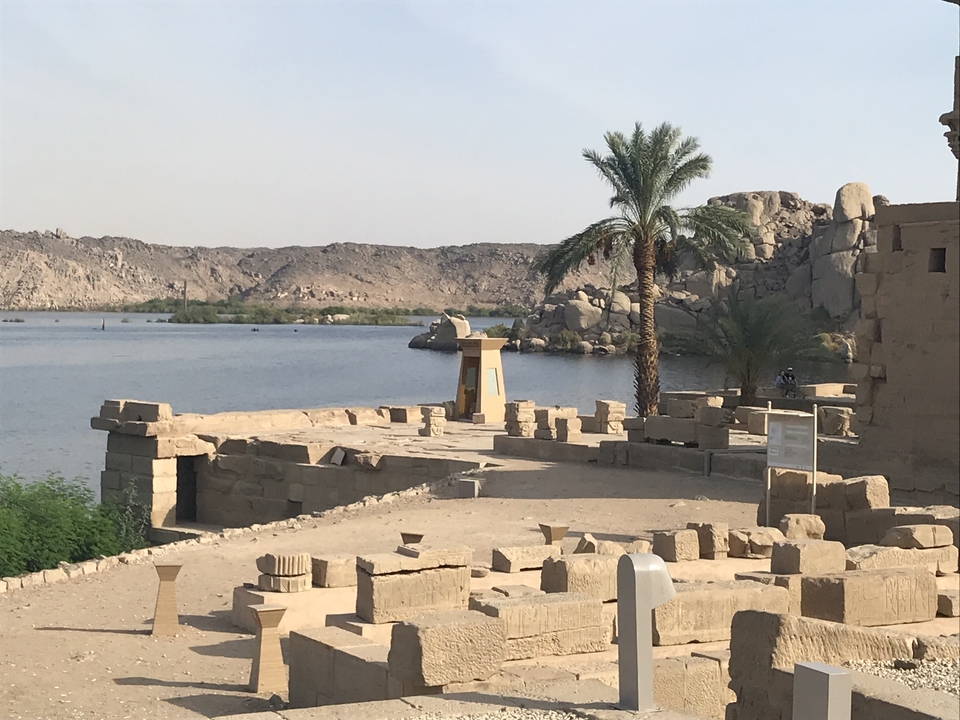 Ruines antiques avec des palmiers et une rivière en arrière-plan.