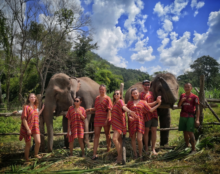 Group of people posing with elephants.