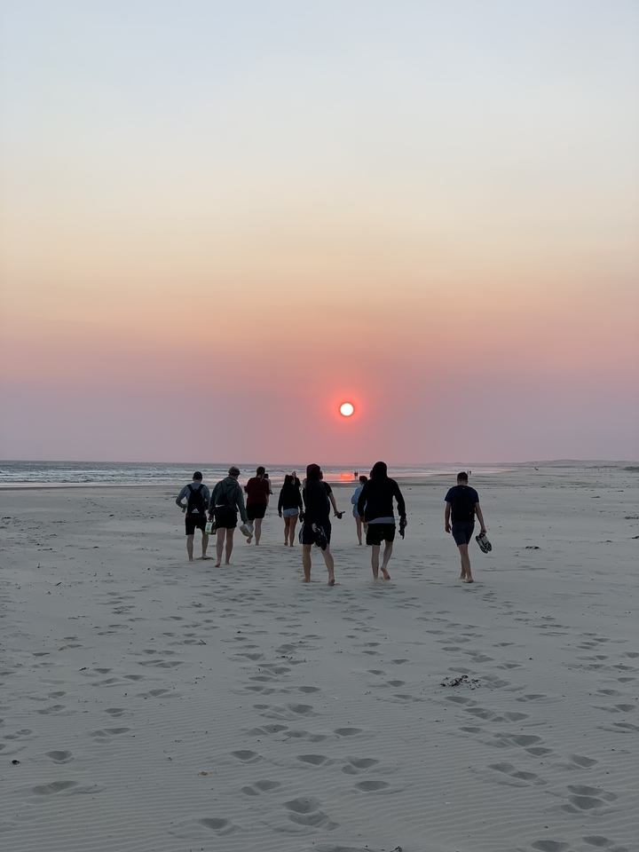Groupe marchant sur la plage au coucher du soleil.