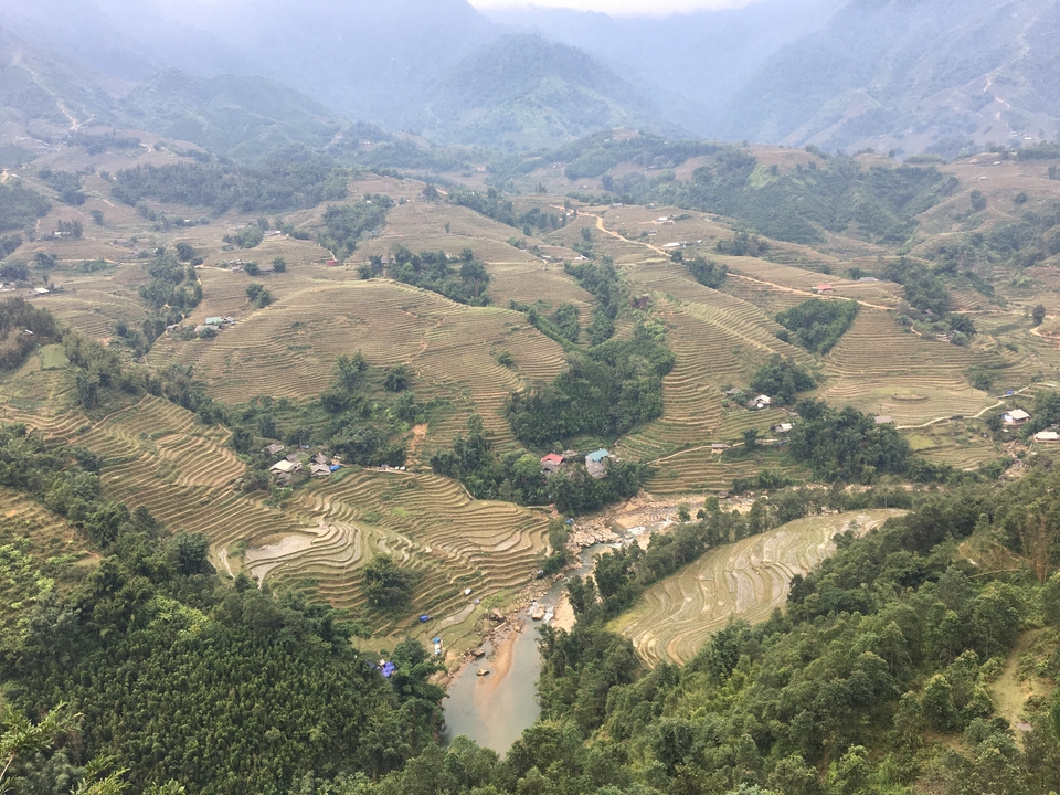 Vue aérienne de champs en terrasses sur des collines vallonnées.
