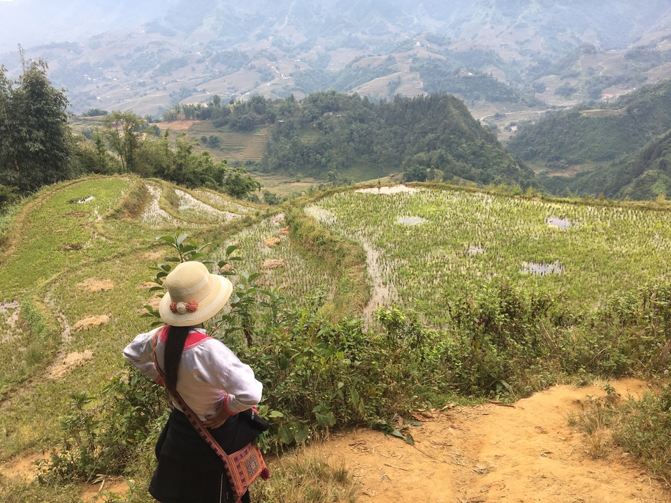 Personne debout regardant des champs en terrasses et des collines.
