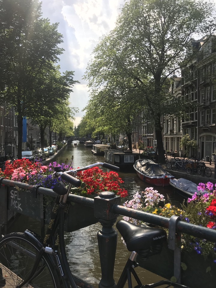 Canal in Amsterdam with flowers and boats.