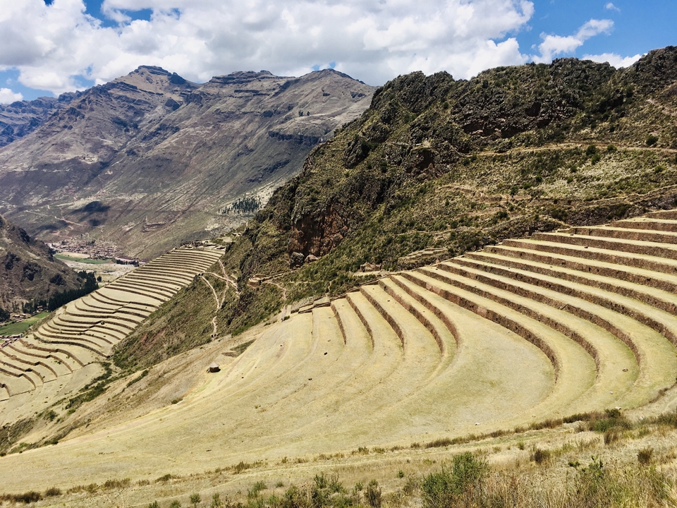 Champs en terrasses sur une pente de montagne.