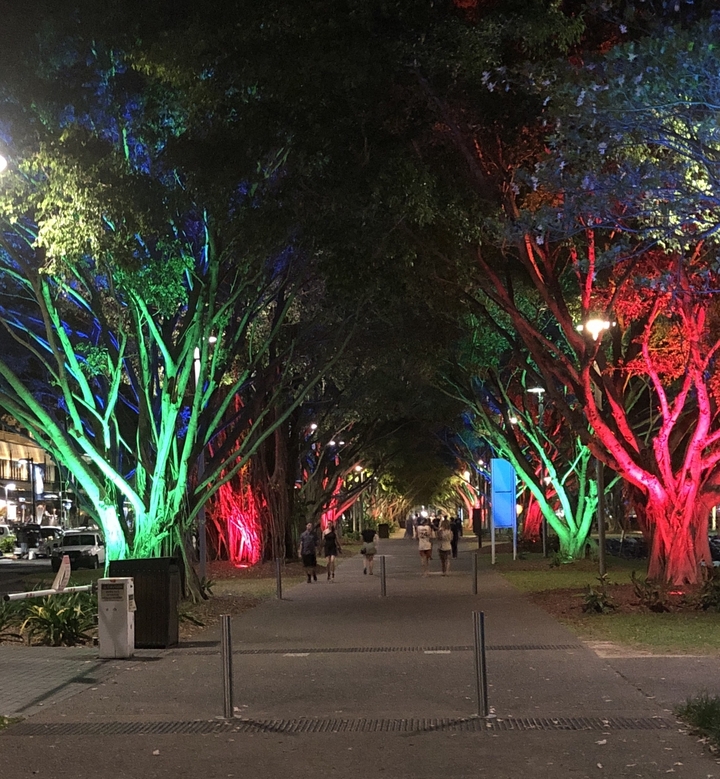 Sentier éclairé par des lumières colorées vives sur les arbres la nuit avec des gens qui marchent.