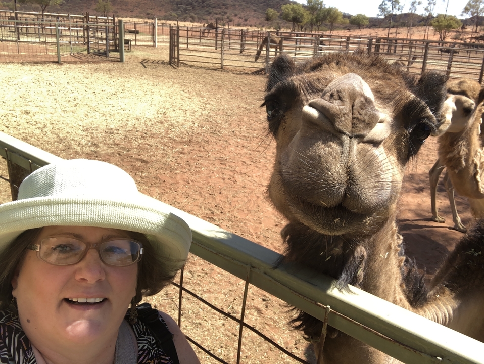 Personne prenant un selfie avec un chameau dans un espace ouvert clôturé.