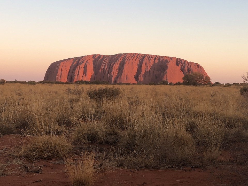 Vue de la formation rocheuse d'Uluru dans un champ au coucher du soleil.