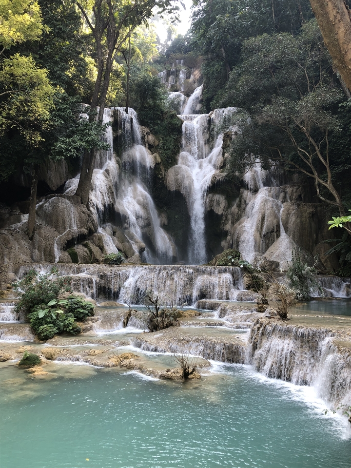 Kuang Si Falls with multiple tiers and turquoise water.