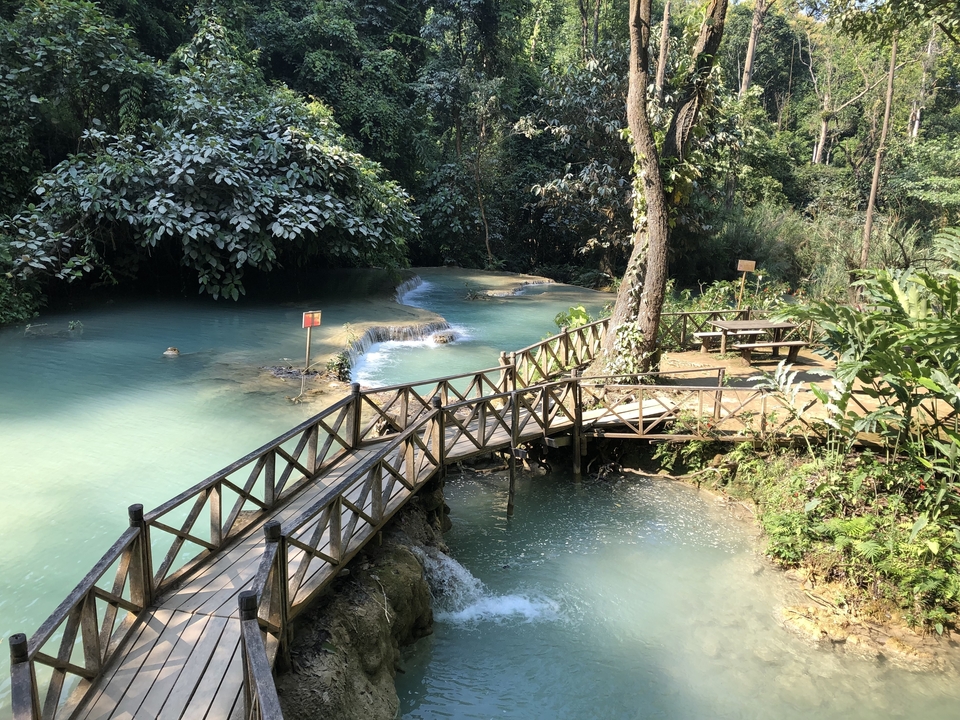 Bridge over turquoise pools and lush greenery at Kuang Si Falls.