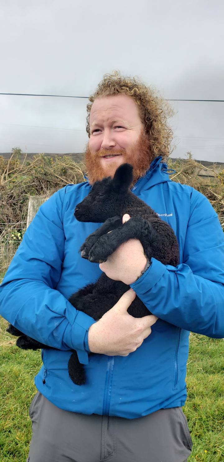 Person holding a small black lamb.